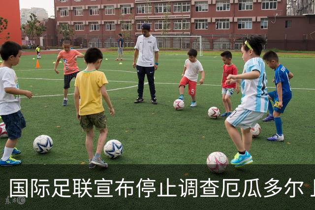 国际足联宣布停止调查厄瓜多尔 且不做任何处罚